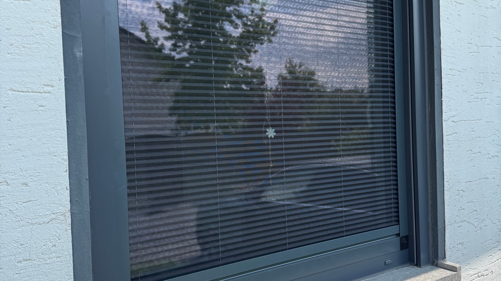 Fliegengitter für Fenster - Professioneller Insektenschutz und Fliegengitter Service von Moskitoblocker24